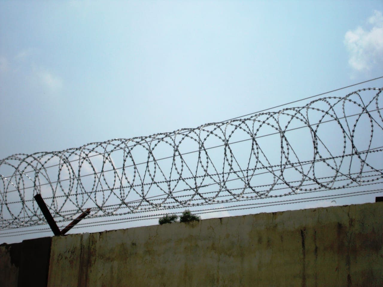 Concertina Razor-Wire Wall Topping — Karnataka