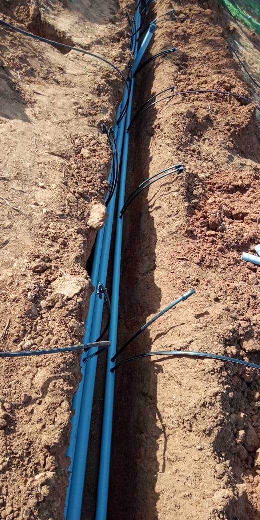 HDPE mains and black drip laterals laid in a trench before backfilling