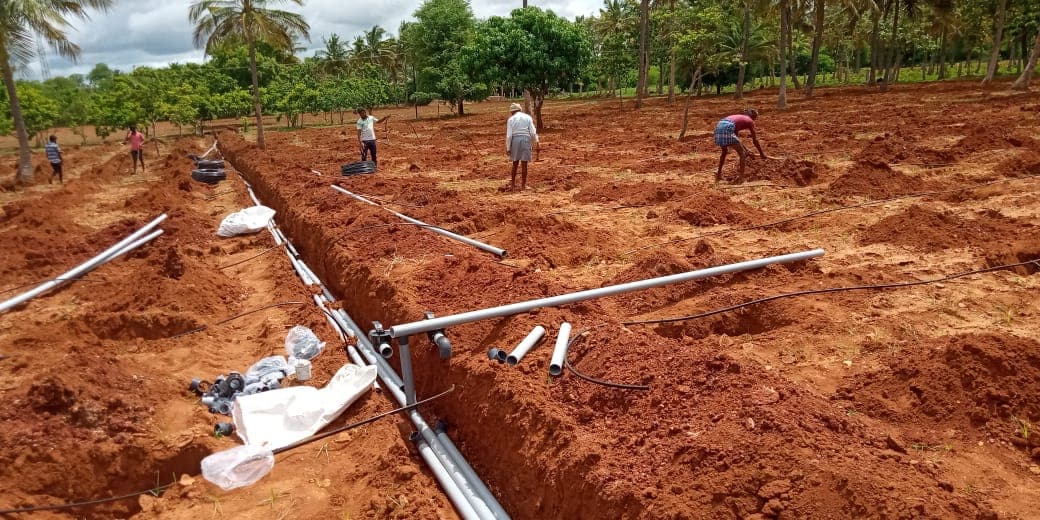 Trenching and pipe laying underway across an orchard