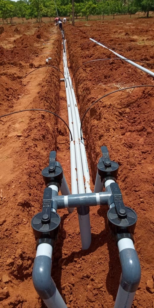 Four-valve manifold feeding drip sub-mains from the buried main line