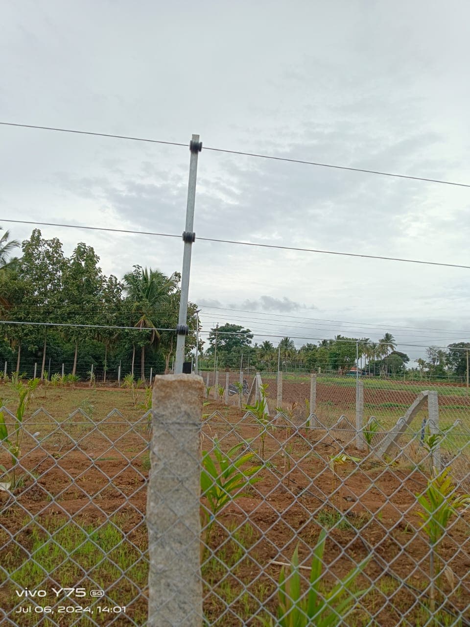 Chain link mesh with solar fence lines running above it on a plantation